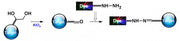 iFluor® 790 hydrazide - AAT Bioquest