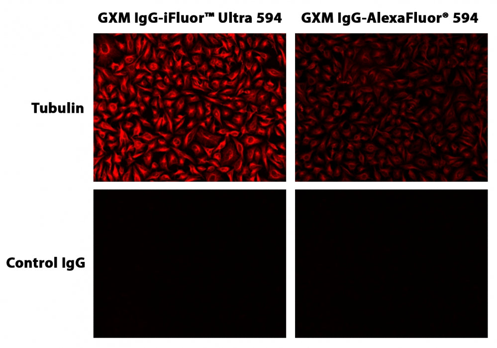 iFluor® Ultra 594 succinimidyl ester - AAT Bioquest
