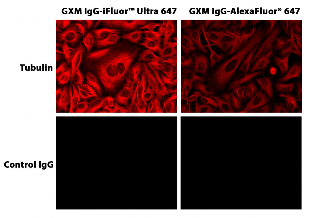 iFluor® Ultra 647 succinimidyl ester - AAT Bioquest
