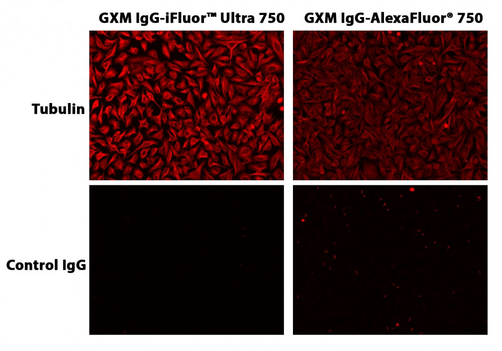 iFluor® Ultra 750 succinimidyl ester - AAT Bioquest