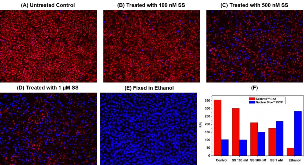 Live or Dead™ Cell Viability Assay Kit *Red/Blue Dual Fluorescence* - AAT Bioquest