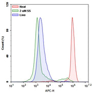 Live or Dead™ Fixable Dead Cell Staining Kit *Deep Red Fluorescence* - AAT Bioquest