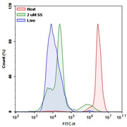 Live or Dead™ Fixable Dead Cell Staining Kit *Green Fluorescence* - AAT Bioquest
