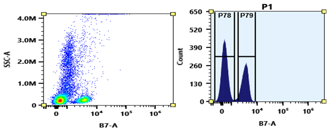 mFluor™ Blue 620 SE - AAT Bioquest