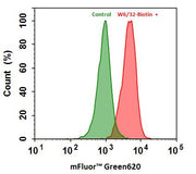 mFluor™ Green 620-streptavidin conjugate - AAT Bioquest