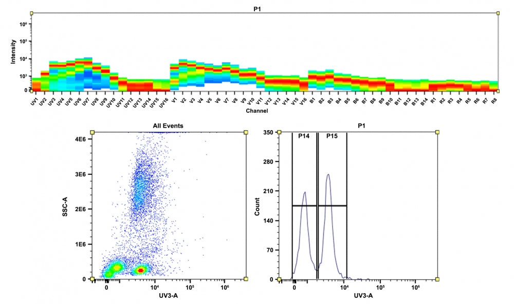 mFluor™ UV420 maleimide - AAT Bioquest