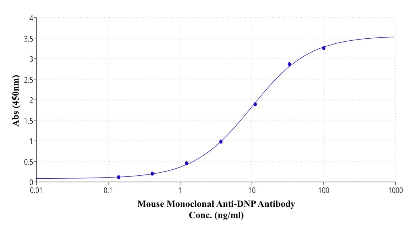 Mouse Monoclonal Anti-DNP Antibody - AAT Bioquest