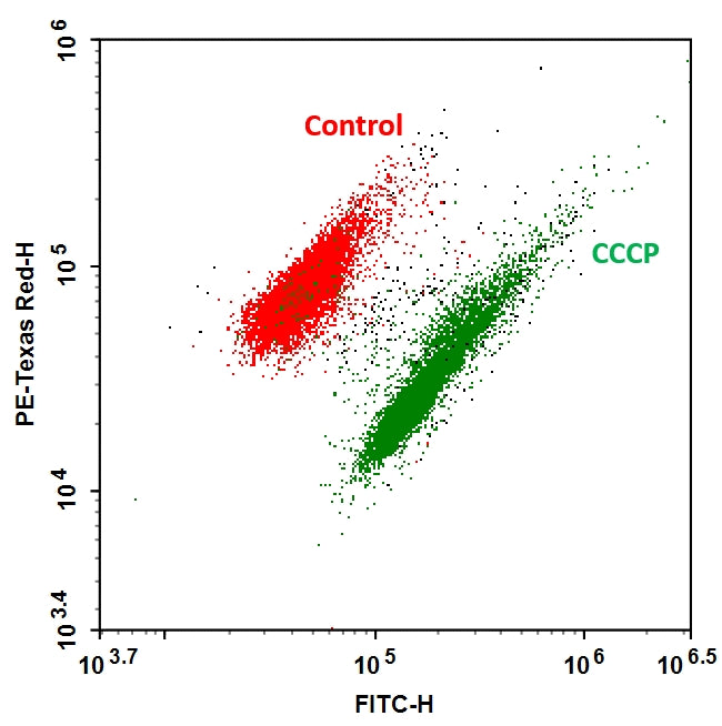 MycoLight™ Ratiometric Bacterial Membrane Potential Kit *Red/Green Fluorescence* - AAT Bioquest