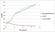 MycoLight™ Red JJ94 *2.5 mM in DMSO* - AAT Bioquest