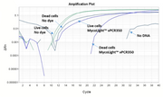 MycoLight™ vPCR350 - AAT Bioquest