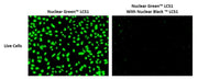 Nuclear Black™ LCS1 *Cell-Permeable* - AAT Bioquest
