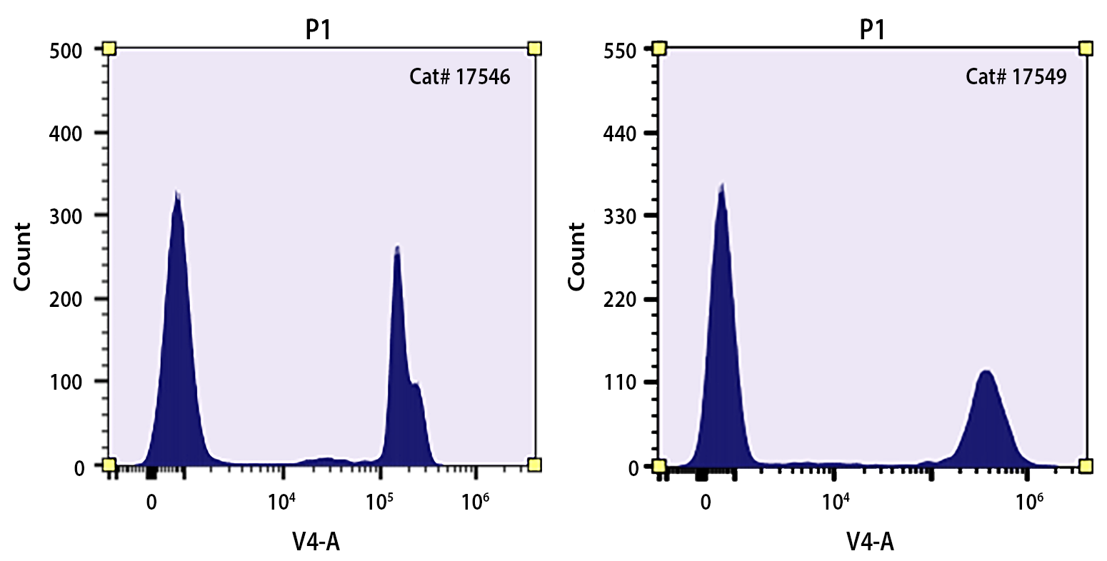 Nuclear Blue™ DCS2 *Equivalent to SYTOX™ Blue Dead Cell Stain, 1 mM DMSO Solution* - AAT Bioquest