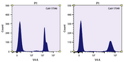 Nuclear Blue™ DCS2 *Equivalent to SYTOX™ Blue Dead Cell Stain, 1 mM DMSO Solution* - AAT Bioquest