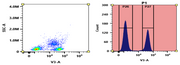 PacBlue succinimidyl ester [equivalent to Pacific Blue succinimidyl ester] - AAT Bioquest