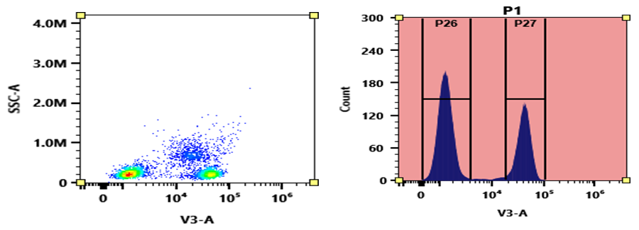 PacBlue succinimidyl ester [equivalent to Pacific Blue succinimidyl ester] - AAT Bioquest