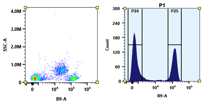 PE-iFluor® 660 Tandem - AAT Bioquest