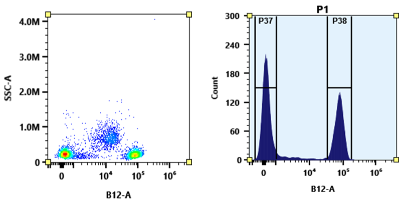PE-iFluor® 710 Tandem - AAT Bioquest