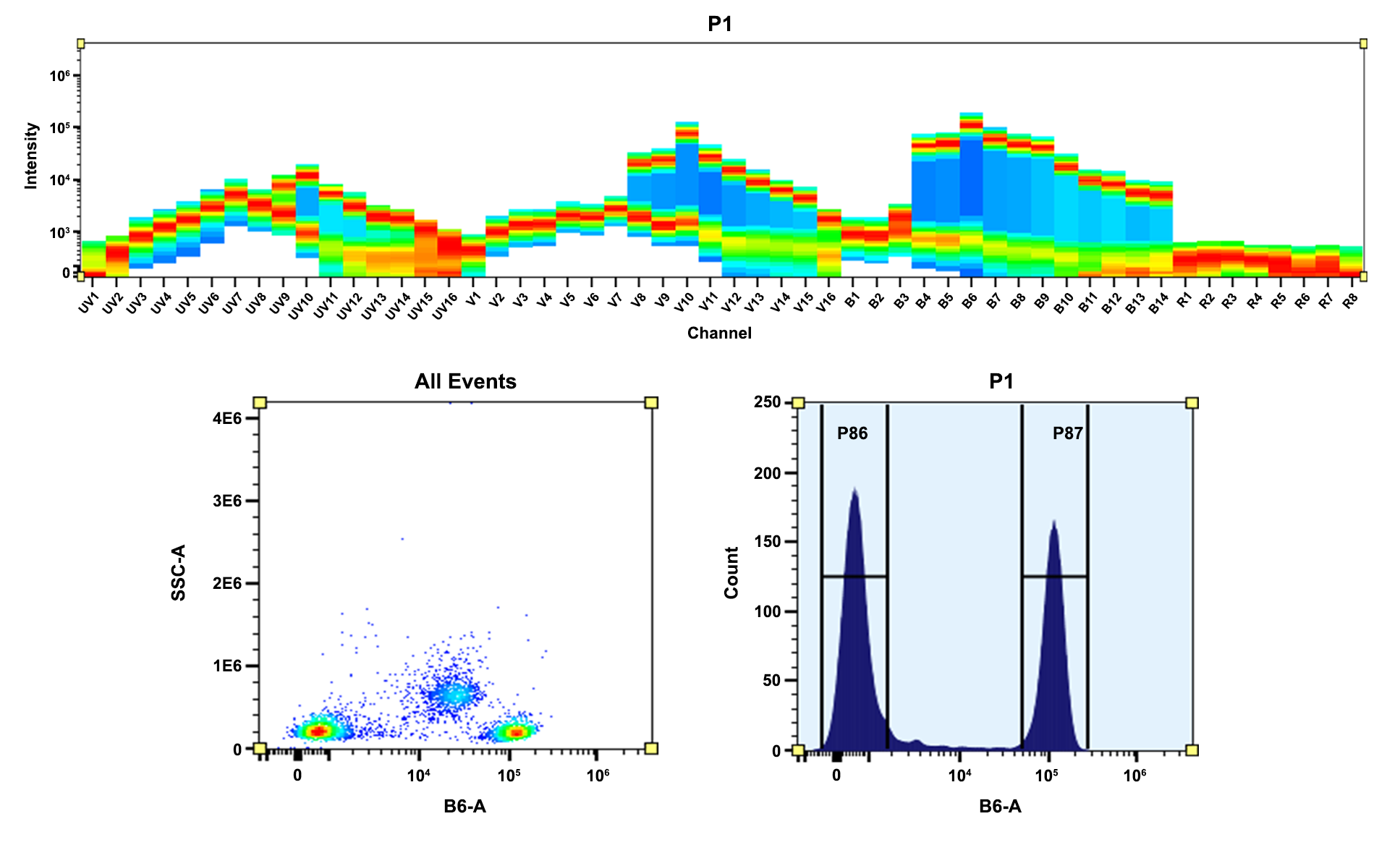 Phycoerythrin (PE) - AAT Bioquest