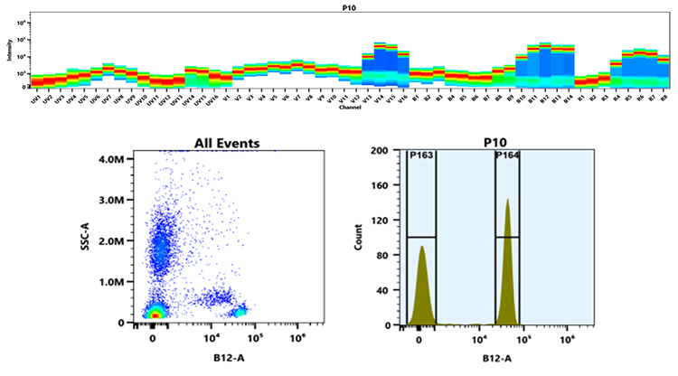 PerCP-iFluor® 720 - AAT Bioquest