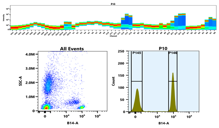PerCP-iFluor® 750 - AAT Bioquest