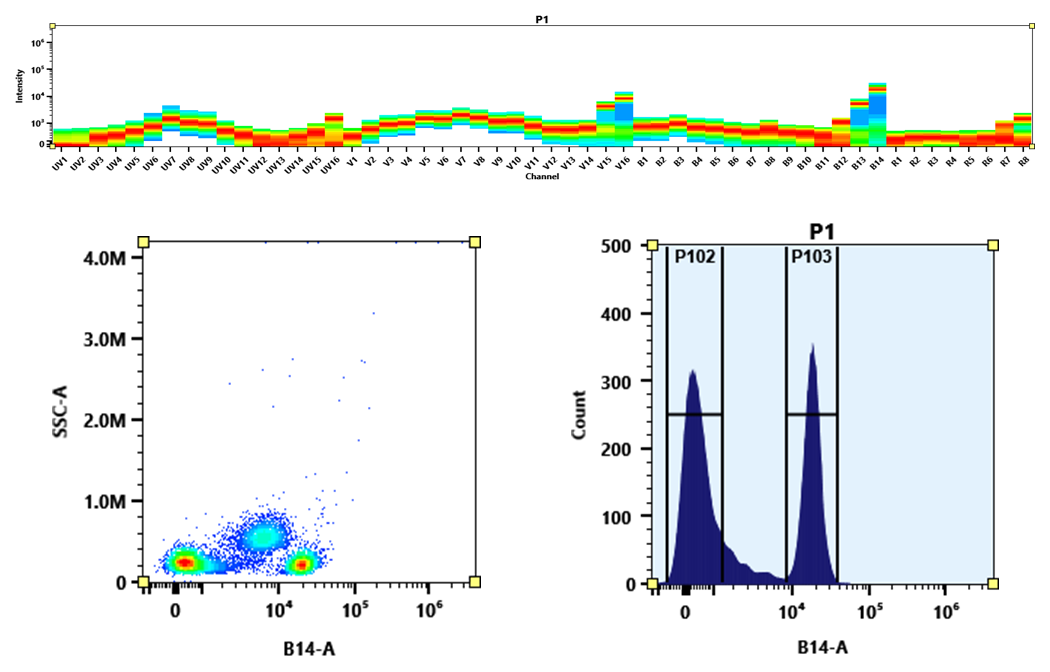 PerCP-iFluor® 780 - AAT Bioquest