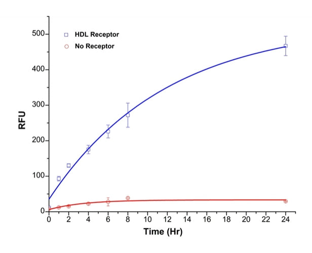 PG-cholesterylamine - AAT Bioquest