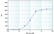PhosphoWorks™ Fluorimetric ADP Assay Kit *Red Fluorescence* - AAT Bioquest