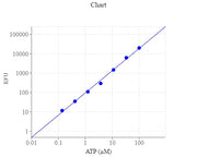 PhosphoWorks™ Fluorimetric ATP Assay Kit - AAT Bioquest