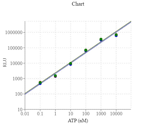 PhosphoWorks™ Luminometric ATP Assay Kit *Extended Luminescence* - AAT Bioquest