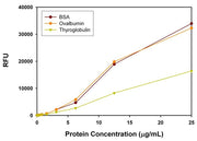 Portelite™ Fluorimetric Protein Quantitation Kit *Optimized for CytoCite™ and Qubit™ Fluorometers* - AAT Bioquest