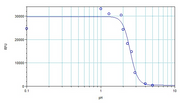 Protonex™ Blue 450 Maleimide - AAT Bioquest