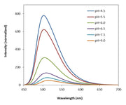 Protonex™ Green 500 - AAT Bioquest