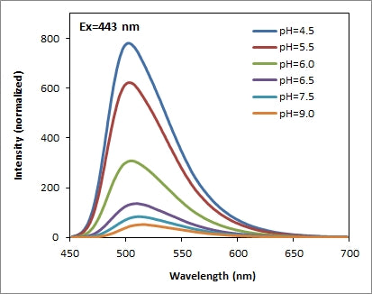 Protonex™ Green 500WS - AAT Bioquest