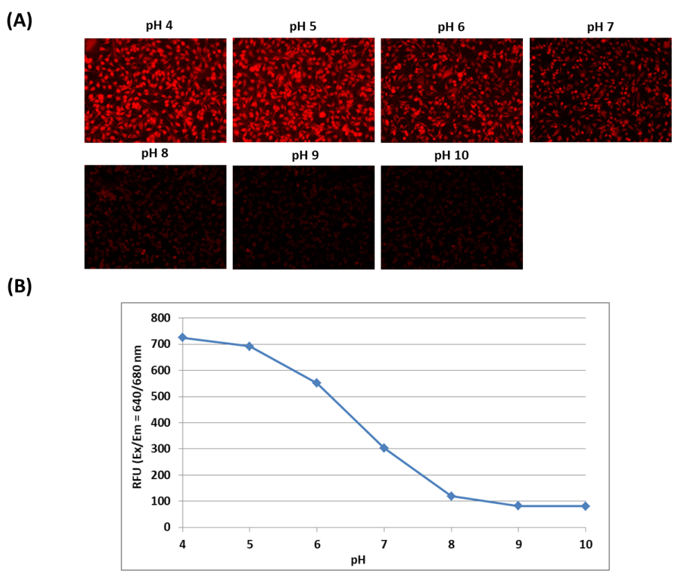 Protonex™ Lyso-Red 670 - AAT Bioquest