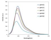 Protonex™ Red 600-Dextran Conjugate *10,000 MW for Endocytosis* - AAT Bioquest