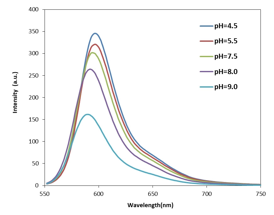 Protonex™ Red 600-Dextran Conjugate *10,000 MW for Endocytosis* - AAT Bioquest