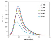 Protonex™ Red 600, maleimide - AAT Bioquest
