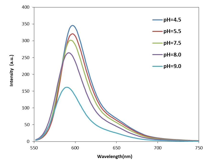 Protonex™ Red 600, maleimide - AAT Bioquest