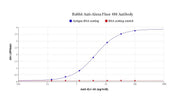 Rabbit Anti-Alexa Fluor 488 Antibody - AAT Bioquest