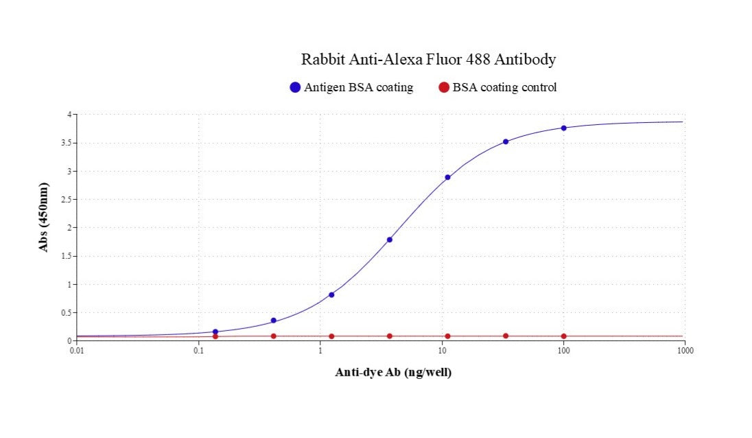 Rabbit Anti-Alexa Fluor 488 Antibody - AAT Bioquest