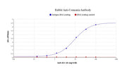 Rabbit Anti-Coumarin Antibody - AAT Bioquest