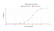 Rabbit Anti-Cy3 Antibody - AAT Bioquest