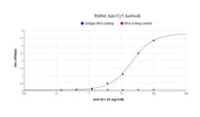 Rabbit Anti-Cy5 Antibody - AAT Bioquest
