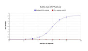 Rabbit Anti-DNP Antibody - AAT Bioquest