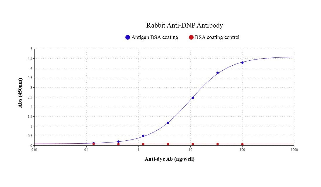 Rabbit Anti-DNP Antibody - AAT Bioquest