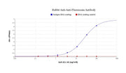 Rabbit Anti-Fluorescein [FITC] Antibody - AAT Bioquest