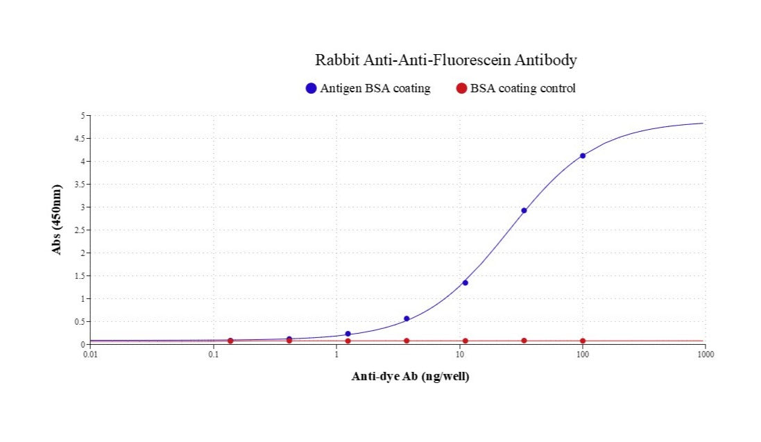 Rabbit Anti-Fluorescein [FITC] Antibody - AAT Bioquest
