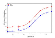 RatioWorks™ BCFL, AM *Superior replacement for BCECF* - AAT Bioquest