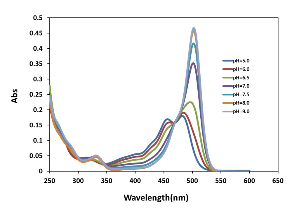 RatioWorks™ BCFL, SE - AAT Bioquest
