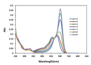 RatioWorks™ BCFL, SE - AAT Bioquest